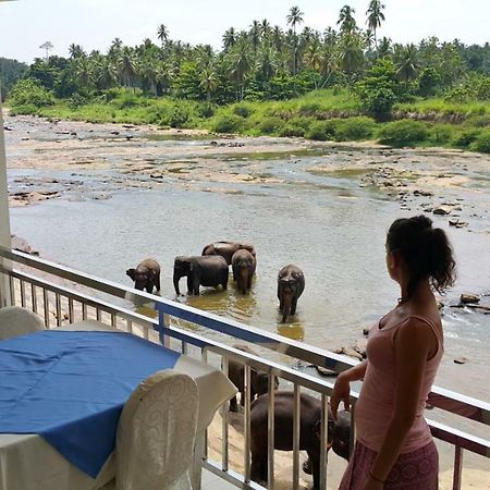 Hotel Pinnalanda Pinnawala  Extérieur photo